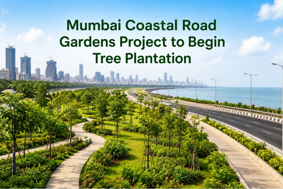 Coastal Road Gardens to Launch Tree Plantation Drive