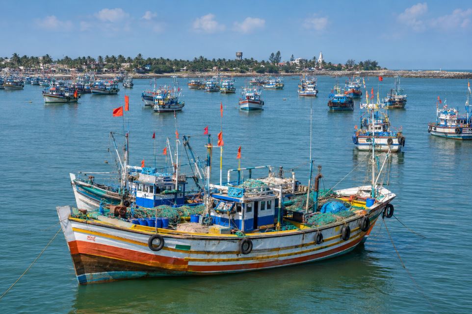 Maharashtra Reopens Open-Sea Fishing After Monsoon Ban